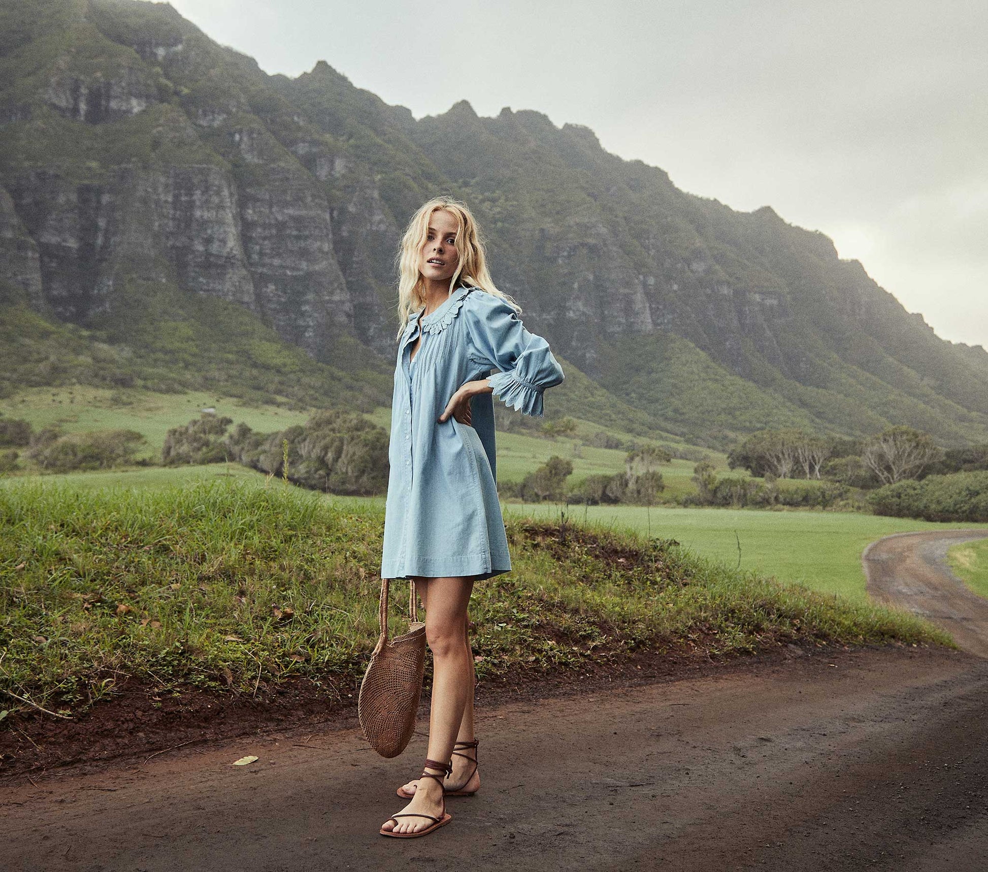 HMD -- WING DRESS -- PARISIAN CHAMBRAY view 1
