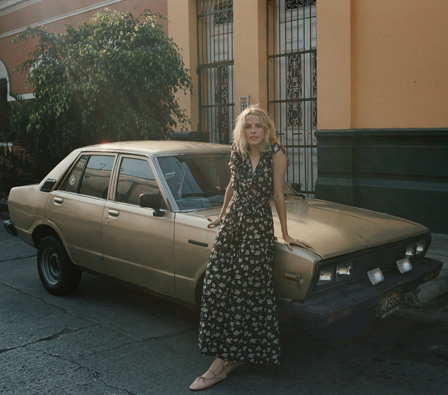 Swatches: CARNATION DRESS