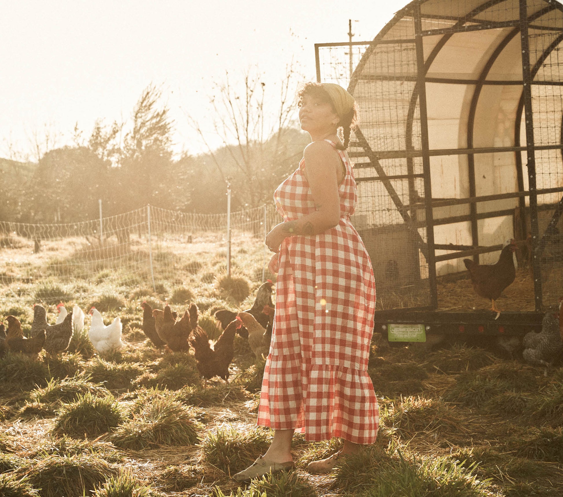 HMD -- EVE DRESS -- ST OUEN SWEET CHERRY PLAID view 5
