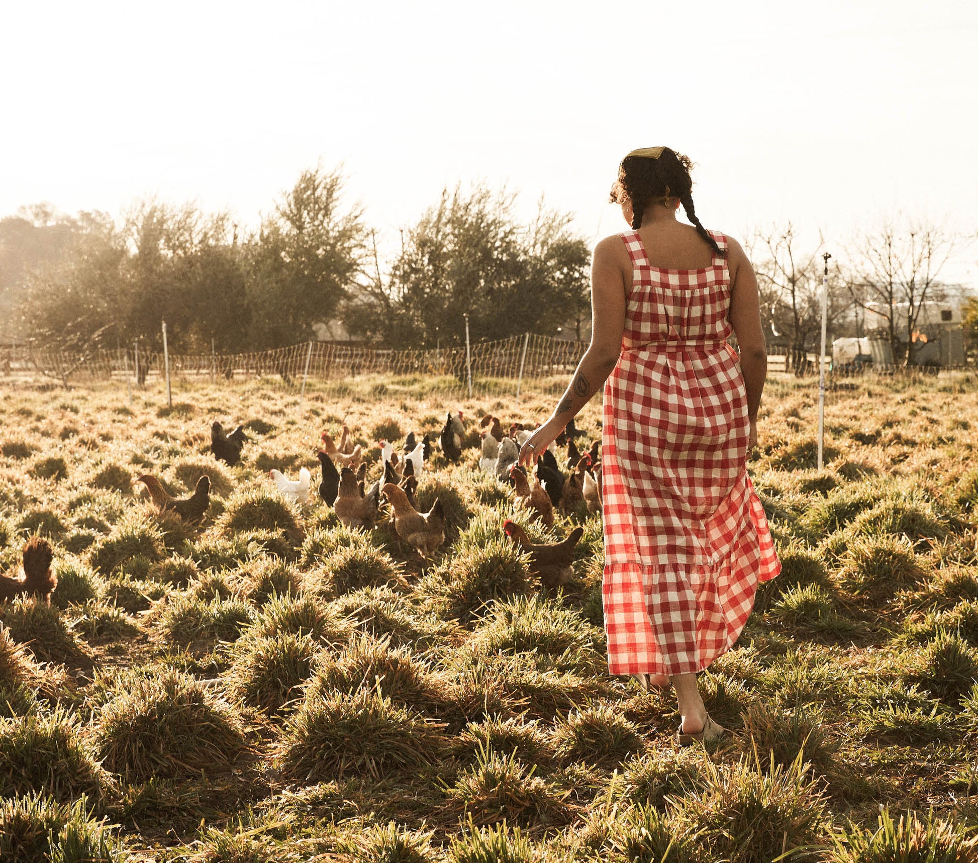HMD -- EVE DRESS -- ST OUEN SWEET CHERRY PLAID view 7

